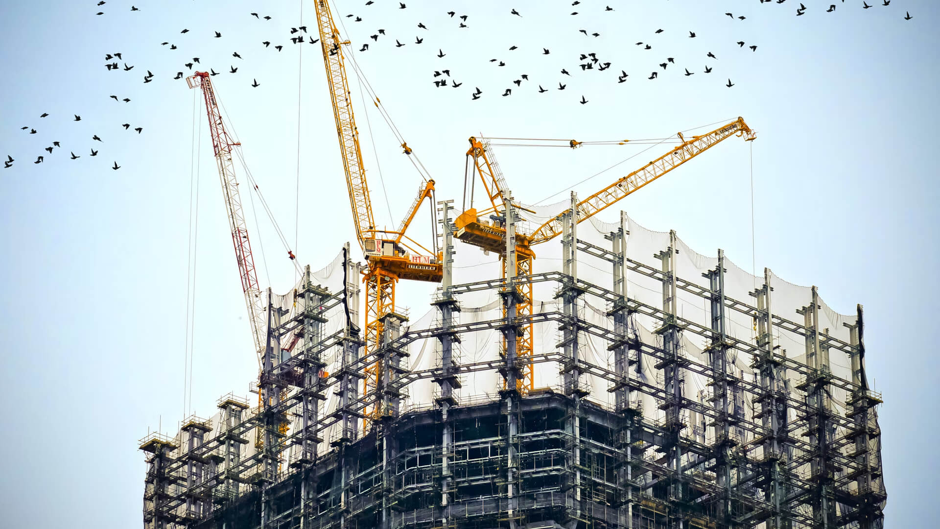 Tendering Process